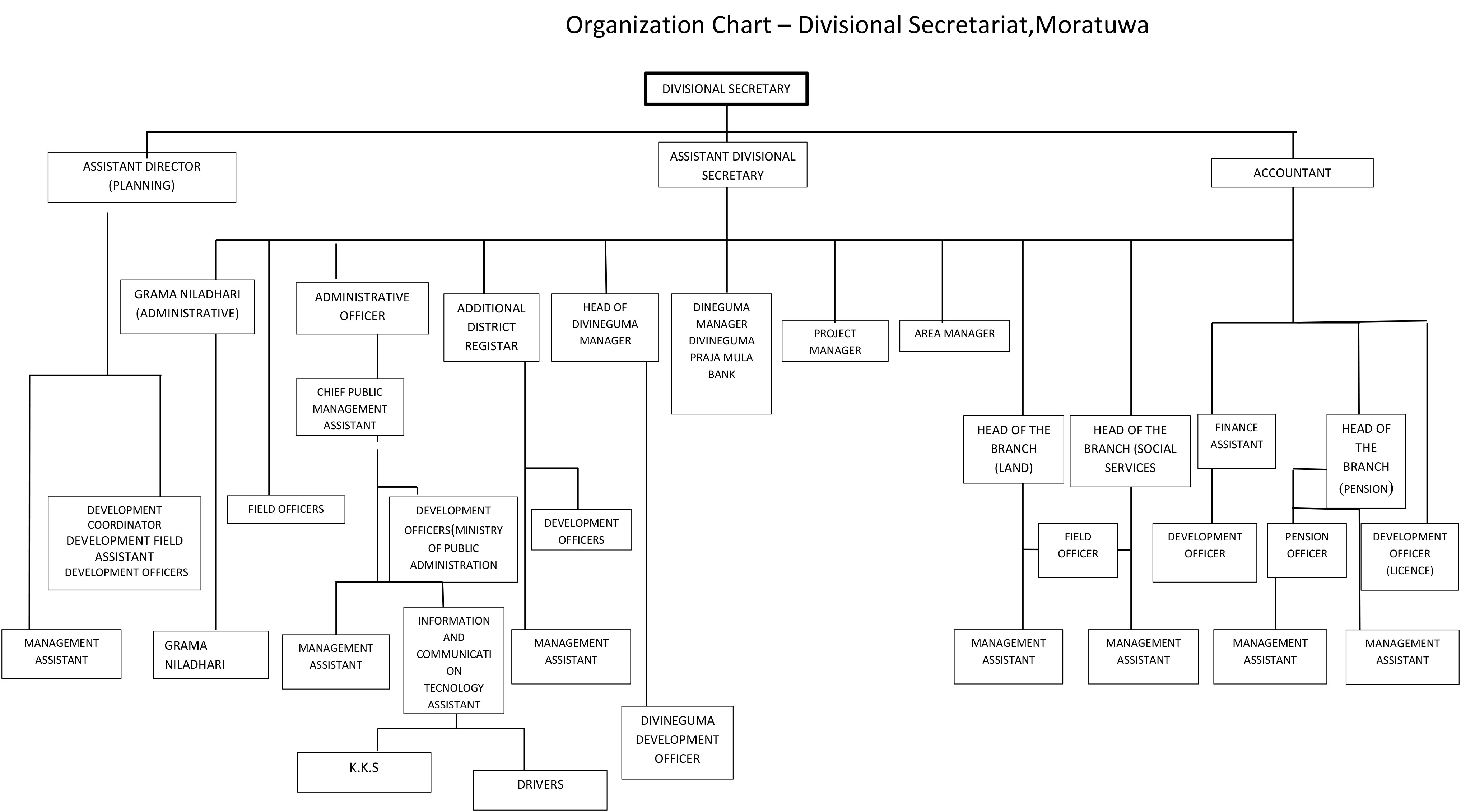 morotuwa org chart english