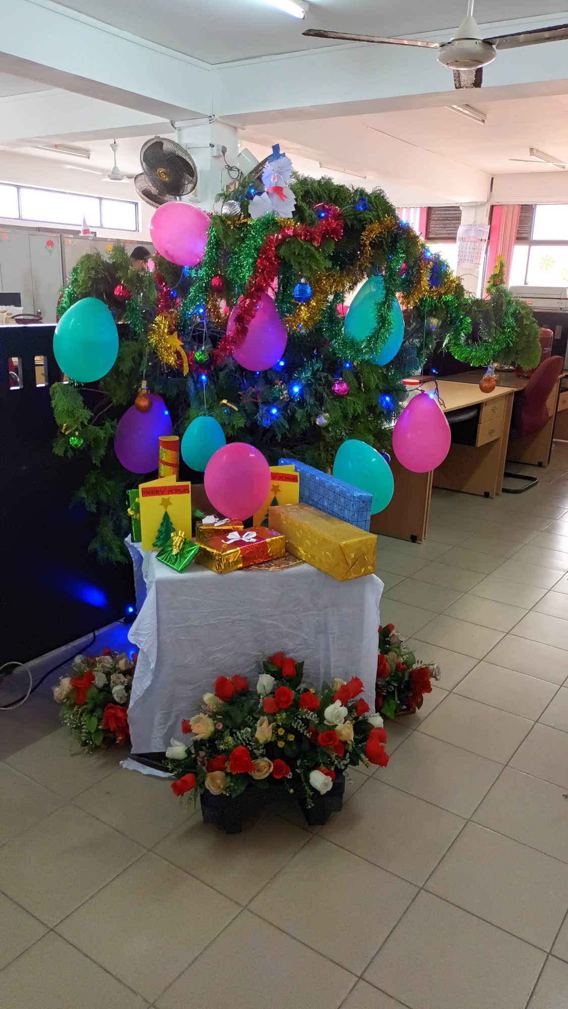 IMG 20211222 115812