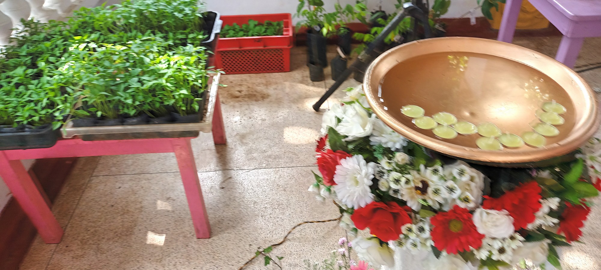 IMG 20220329 090034